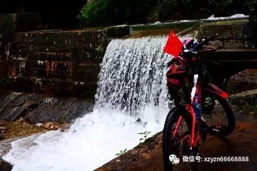 2024年全明星首发阵容公布