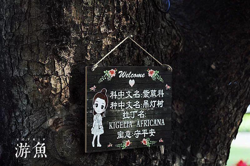 逃离诡异小镇