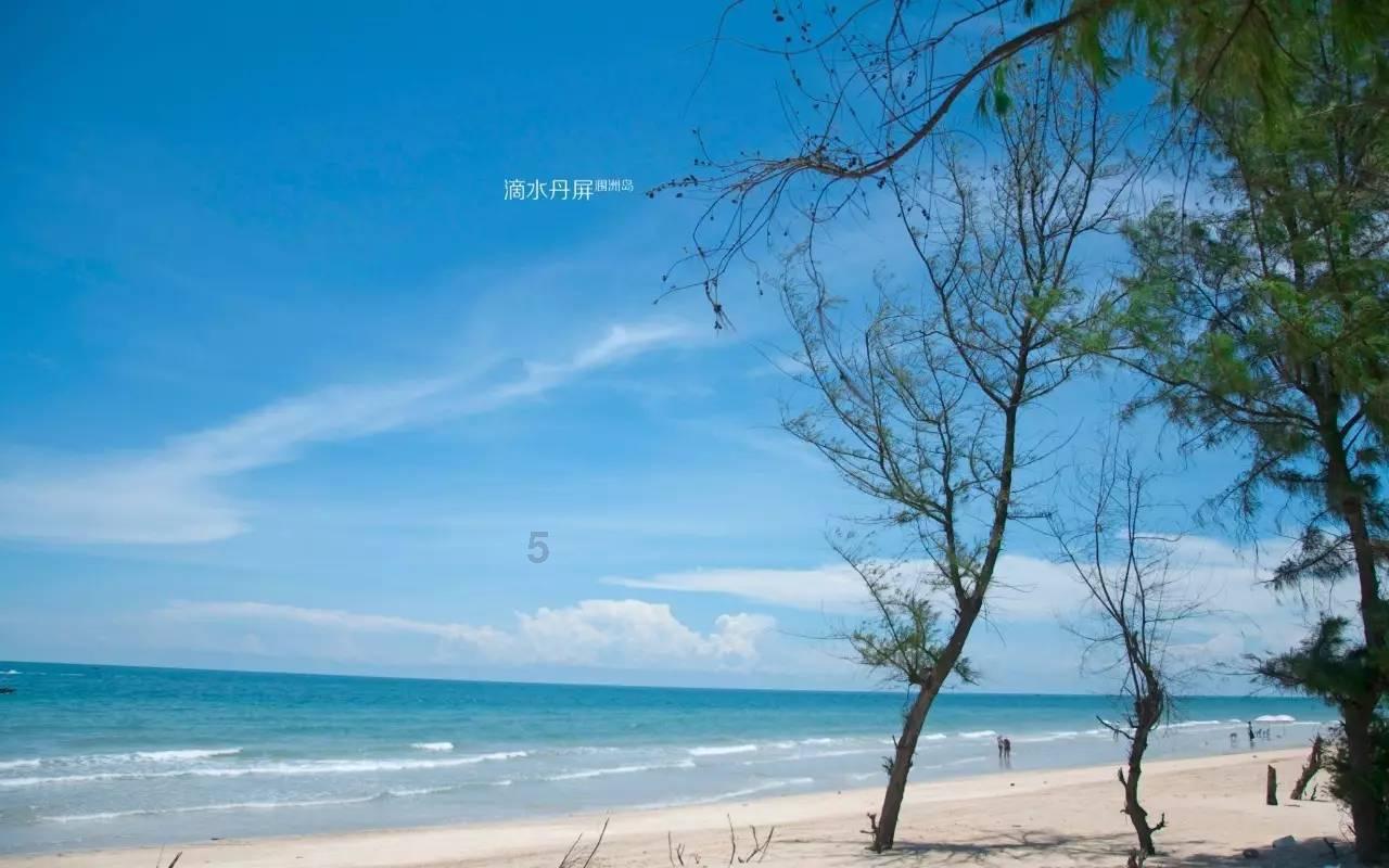 以撒的结合：胎衣