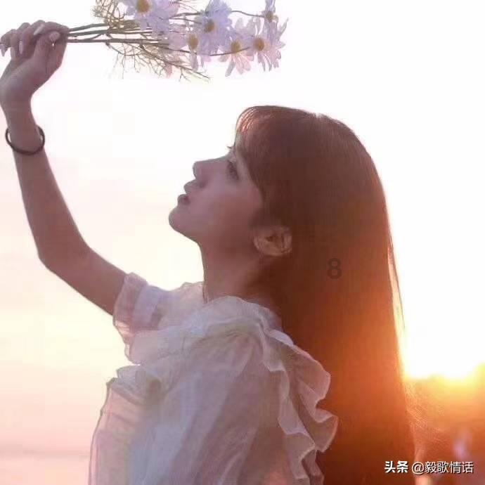 破碎的动物图形