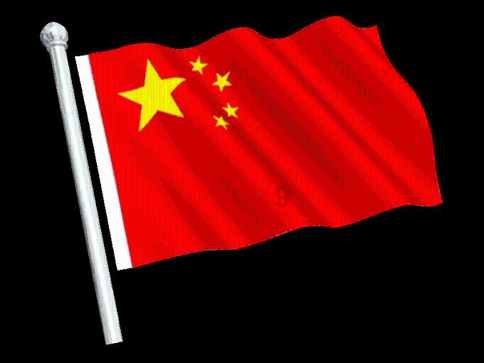 别人老说我家独苗什么意思？