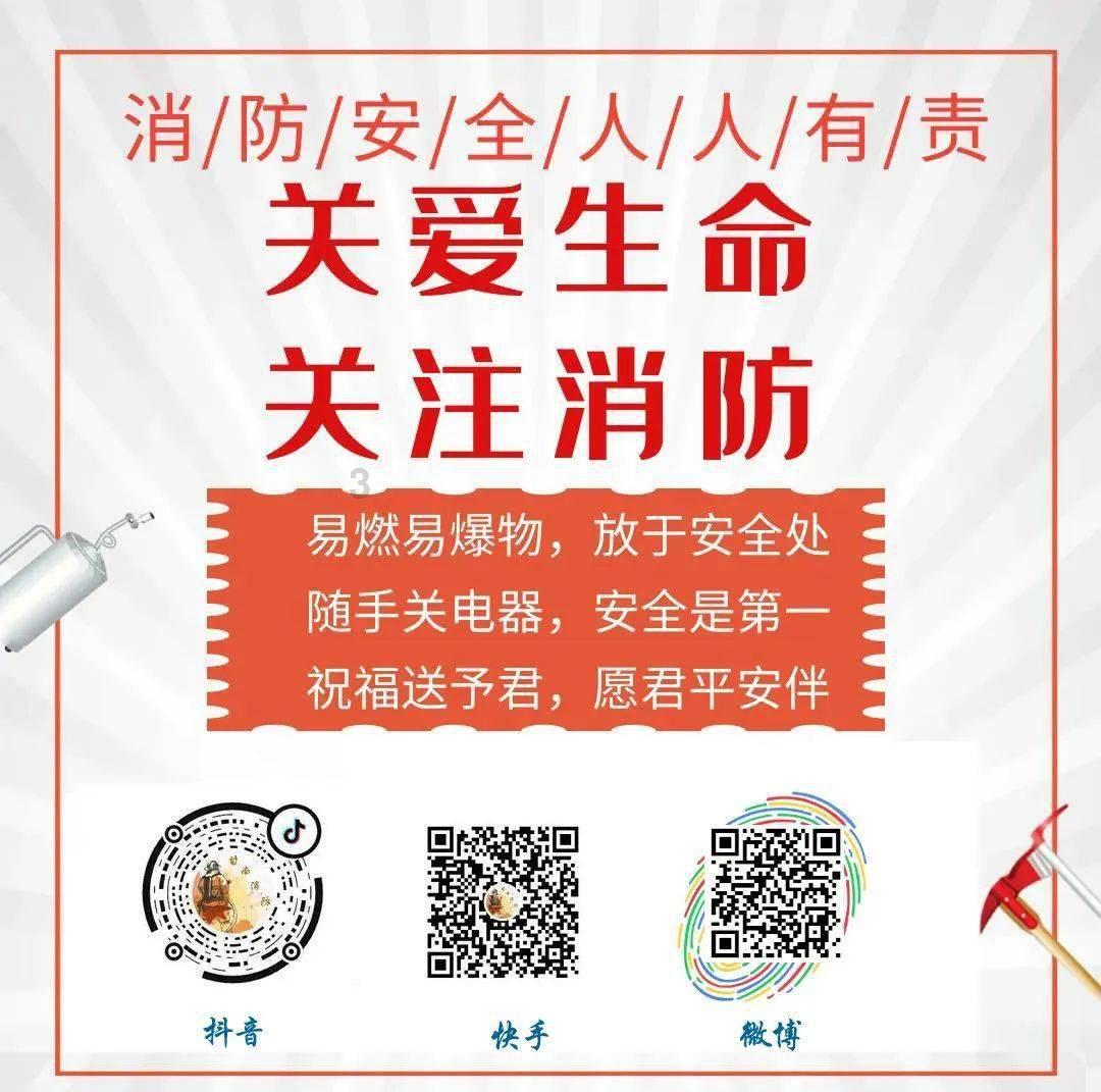 企鹅回城5之飞渡横木