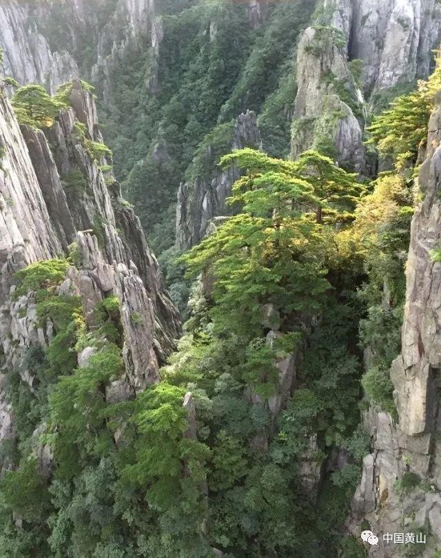 游戏搬砖、游戏工作室创业,网上赚钱找项目之前先思考几个问题?-分享有趣的话题和观点