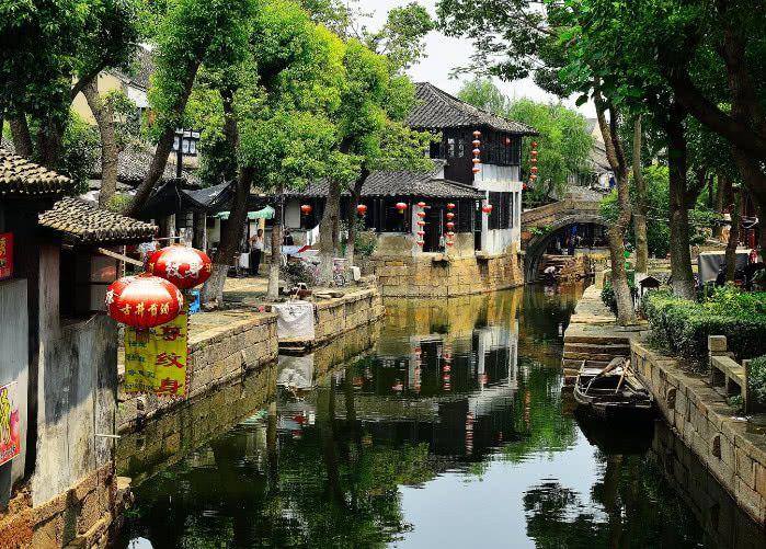 破碎的动物图形