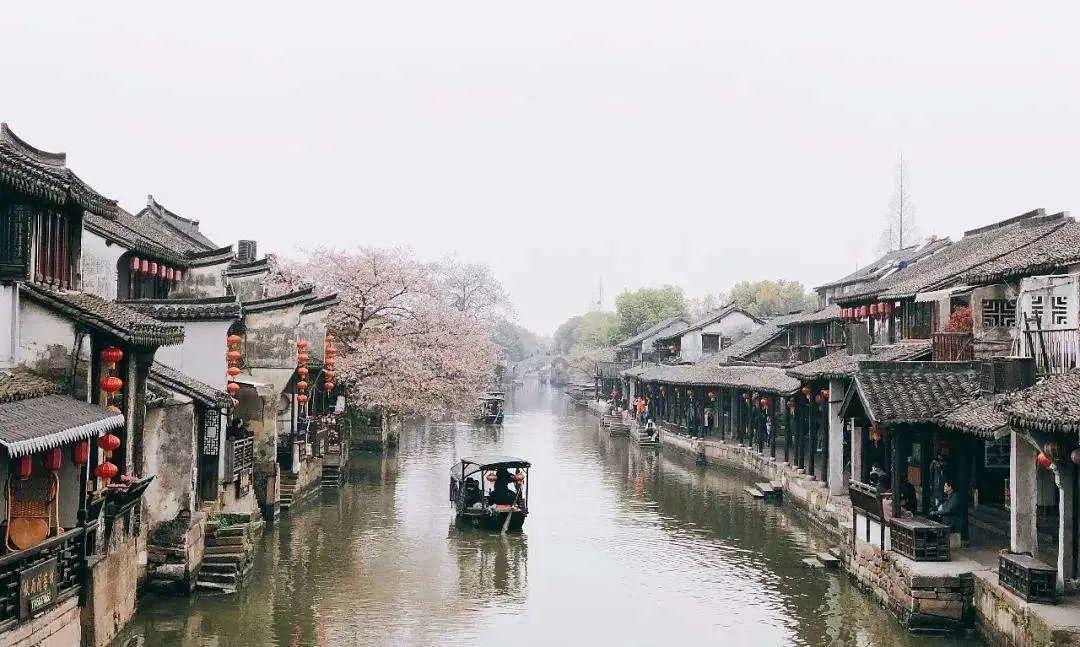 九龙坡:全民参与生态环境建设 绘就美好生态画卷