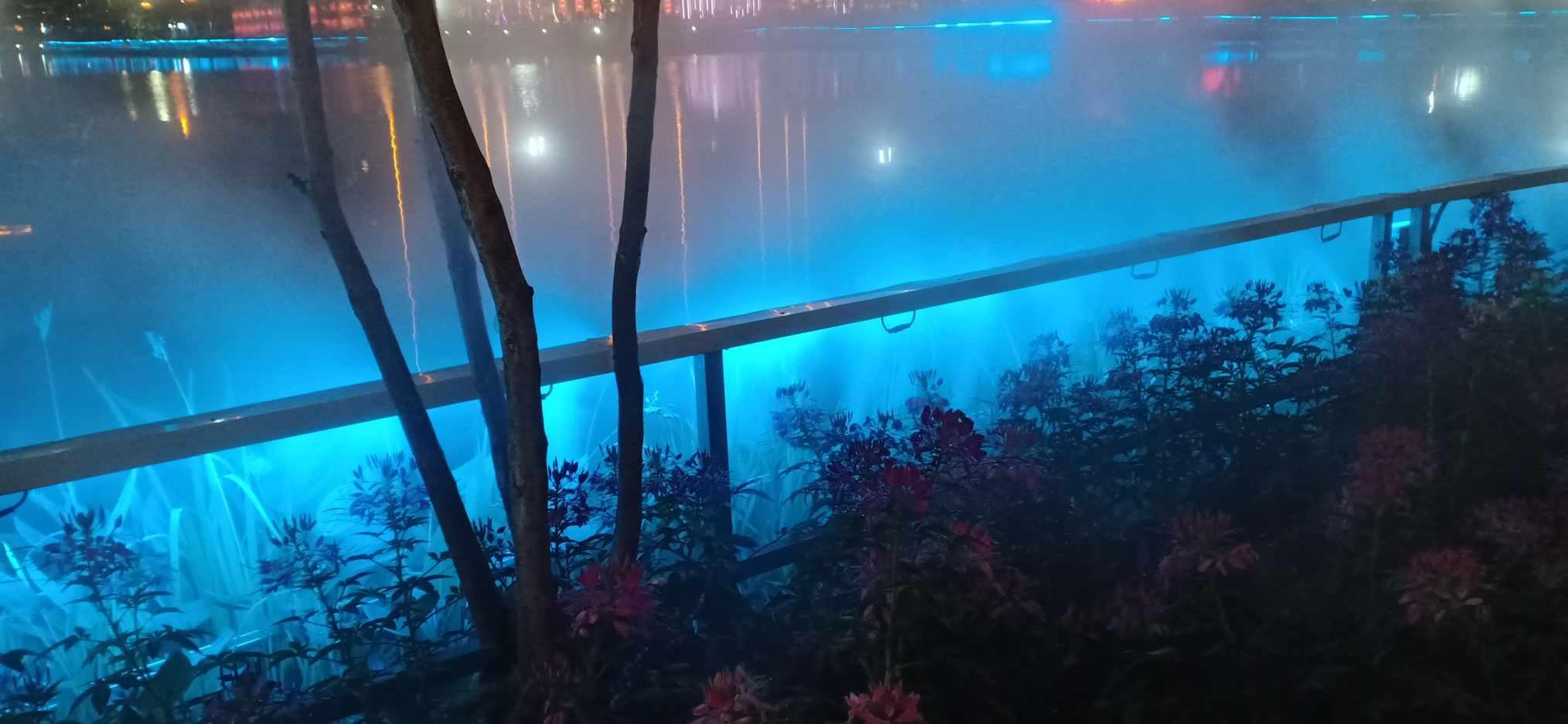 当年高考哪一科是你的遗憾？游戏画面